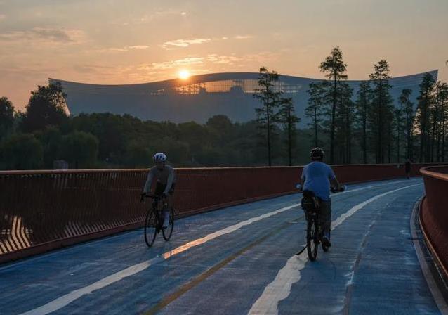 yid, 腰酸背痛, 但得量力而