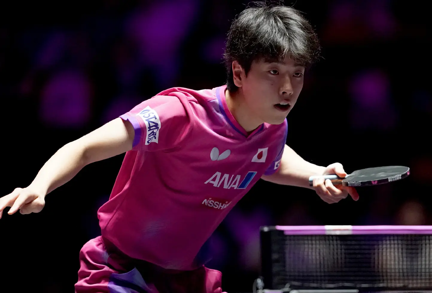 而薛飞今年 而薛飞今年