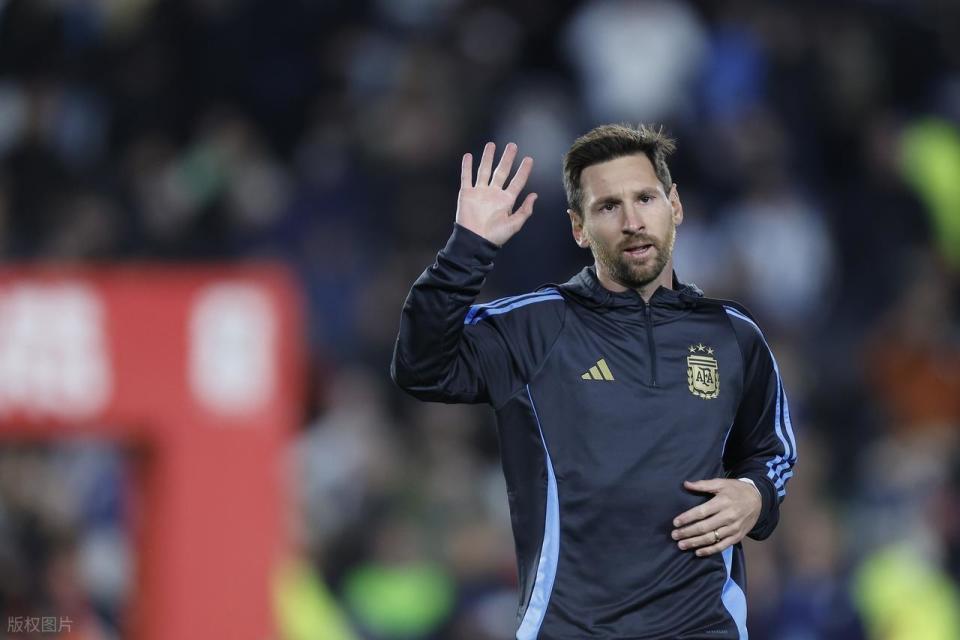 蓝白相间款, 可以看到梅